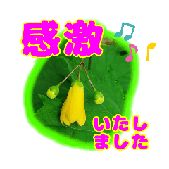 [LINEスタンプ] 大文字 丁寧語と山野草 5