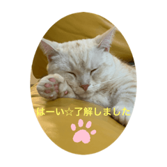 [LINEスタンプ] お返事編1
