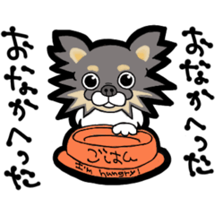 [LINEスタンプ] 自称ちわわ部代表