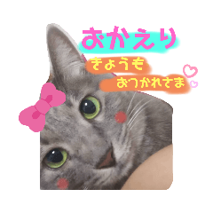 [LINEスタンプ] うちのにゃんこです.2