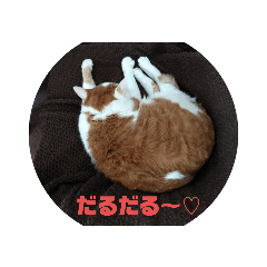 [LINEスタンプ] だるだる   ちゃびたんpart2