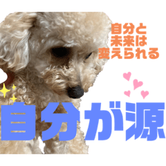 [LINEスタンプ] 可能思考のトイプードル兄弟「仁」と「礼」