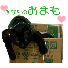 [LINEスタンプ] くろねこまもりん5