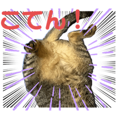 [LINEスタンプ] ハチワレ時々キジトラ3