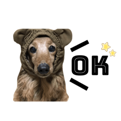 [LINEスタンプ] 5匹の愉快な仲間たち2