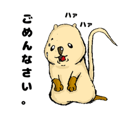 [LINEスタンプ] クアッカワラビー 第2弾 (お絵かきホスト)