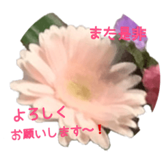 [LINEスタンプ] お花＆猿＆魚で温かいあいさつ