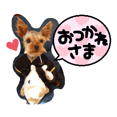 [LINEスタンプ] miroスタンプ