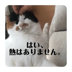 [LINEスタンプ] まるの癒しスタンプ