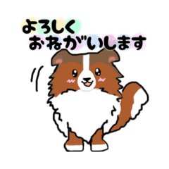 [LINEスタンプ] シェルティのあいさつ♡