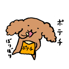 [LINEスタンプ] トイプーさんの生活