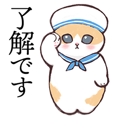 [LINEスタンプ] 【毎日使える！】ネコのスタンプ【夏】