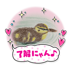 [LINEスタンプ] カルガモの絵