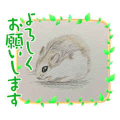 [LINEスタンプ] ハムスターの絵