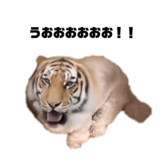 [LINEスタンプ] マルックスのバロンくん 5