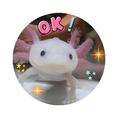 [LINEスタンプ] ウーパーと一緒 2