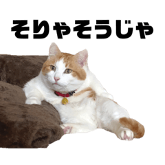 [LINEスタンプ] うなちゃんのぼっけぇ岡山弁スタンプ