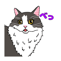 [LINEスタンプ] あら坊とむーちゃん！