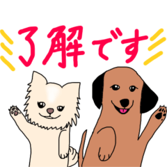 [LINEスタンプ] チワワとダップー