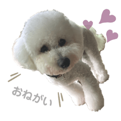 [LINEスタンプ] ぼく、もんた。2