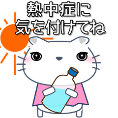 [LINEスタンプ] かわゆしネコちゃん 夏 暑中見舞い等