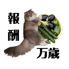 [LINEスタンプ] 福猫＆花猫〜弁護士向け？スタンプ〜