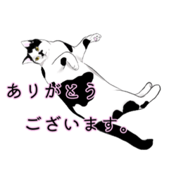 [LINEスタンプ] 猫づくし【敬語・丁寧語・日常】