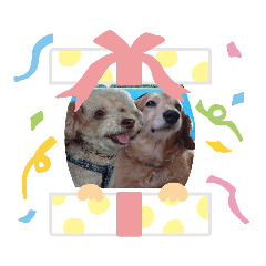 [LINEスタンプ] 可愛いワンワンすたんぷ