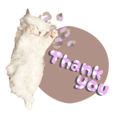 [LINEスタンプ] ぴのあのスタンプ@bdstamp