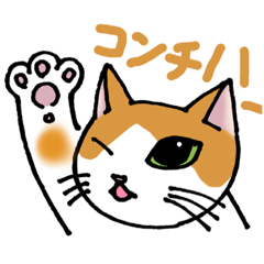 [LINEスタンプ] 片目猫のくるみちゃん full