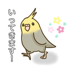 [LINEスタンプ] かわいい❤️インコのイラストスタンプ