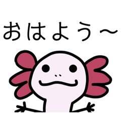 [LINEスタンプ] ウーパくんスタンプ