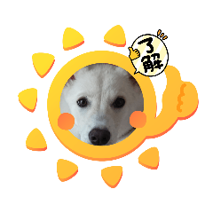 [LINEスタンプ] こむぎで〜す
