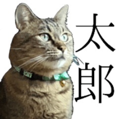 [LINEスタンプ] 太郎でございます。