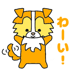 [LINEスタンプ] シェルティ(Shelty)