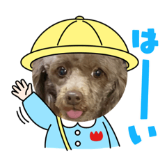 [LINEスタンプ] Yoshys doggies 3
