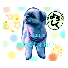 [LINEスタンプ] ◎うちの子すたんぷ◎