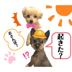 [LINEスタンプ] ♡我が家の愛するわんこず♡Fran＆Soy♡2