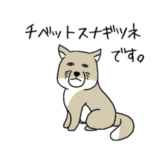 [LINEスタンプ] チベスナさん