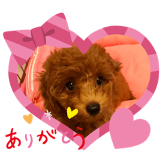 [LINEスタンプ] 癒しのプーちゃんスタンプ