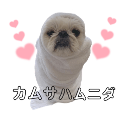 [LINEスタンプ] とろろさんパート3