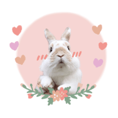 [LINEスタンプ] うさぎのバムの毎日スタンプ