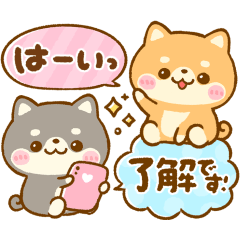 [LINEスタンプ] 大人可愛い♡豆柴日和