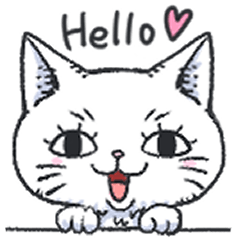 [LINEスタンプ] シロとクロの猫さん日常スタンプ