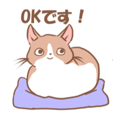 [LINEスタンプ] ねこねこにゃんの日常。