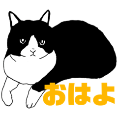 [LINEスタンプ] ねこ、お嬢のひとこと