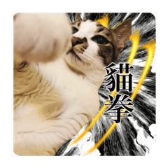 [LINEスタンプ] 陳家の貓2