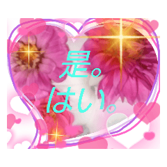 [LINEスタンプ] キラキラ かわいい