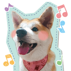 [LINEスタンプ] 秋田犬の小麦ちゃん