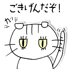 [LINEスタンプ] シンプルな猫のきもち